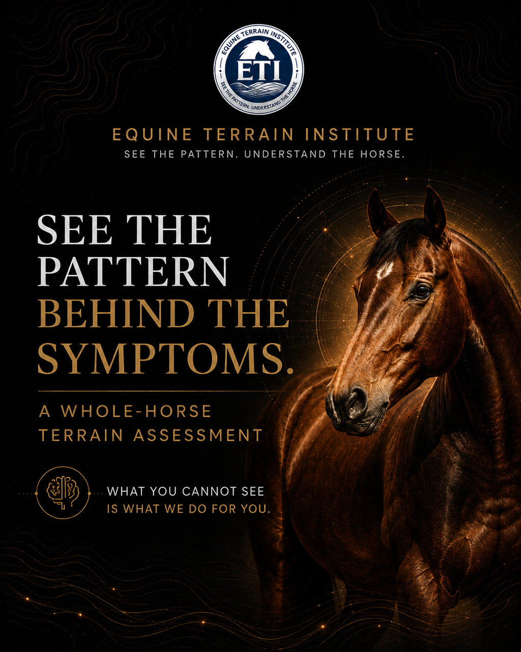 ETI Equine Terrain Assessment