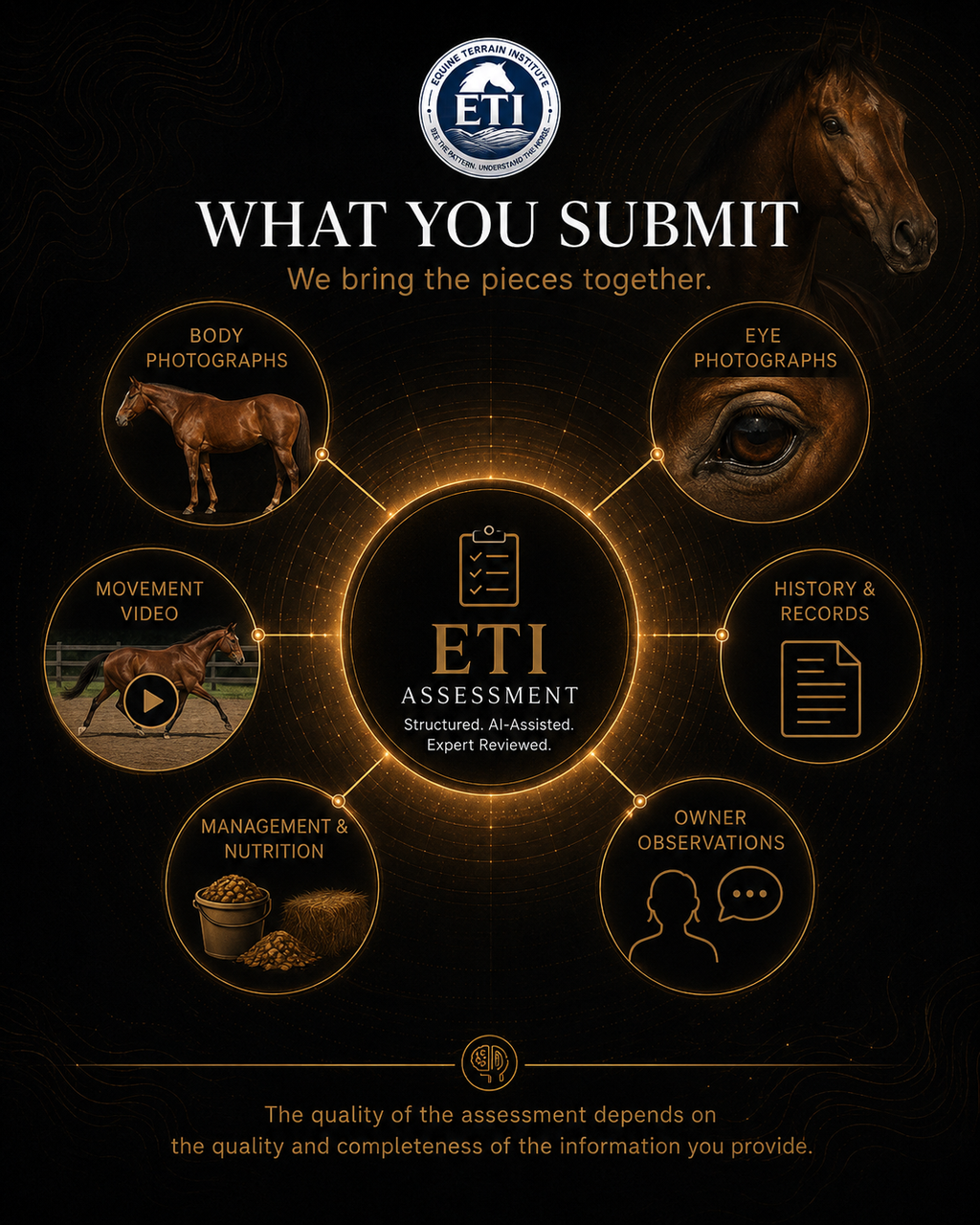 ETI Equine Terrain Assessment