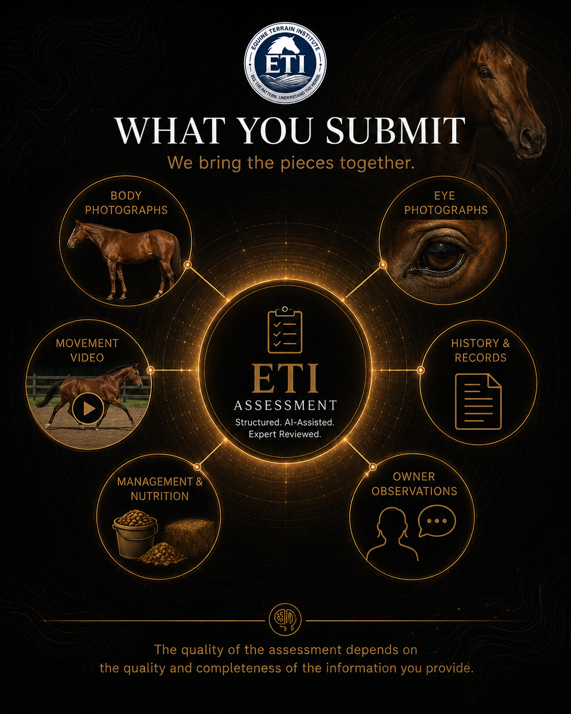 ETI Equine Terrain Assessment
