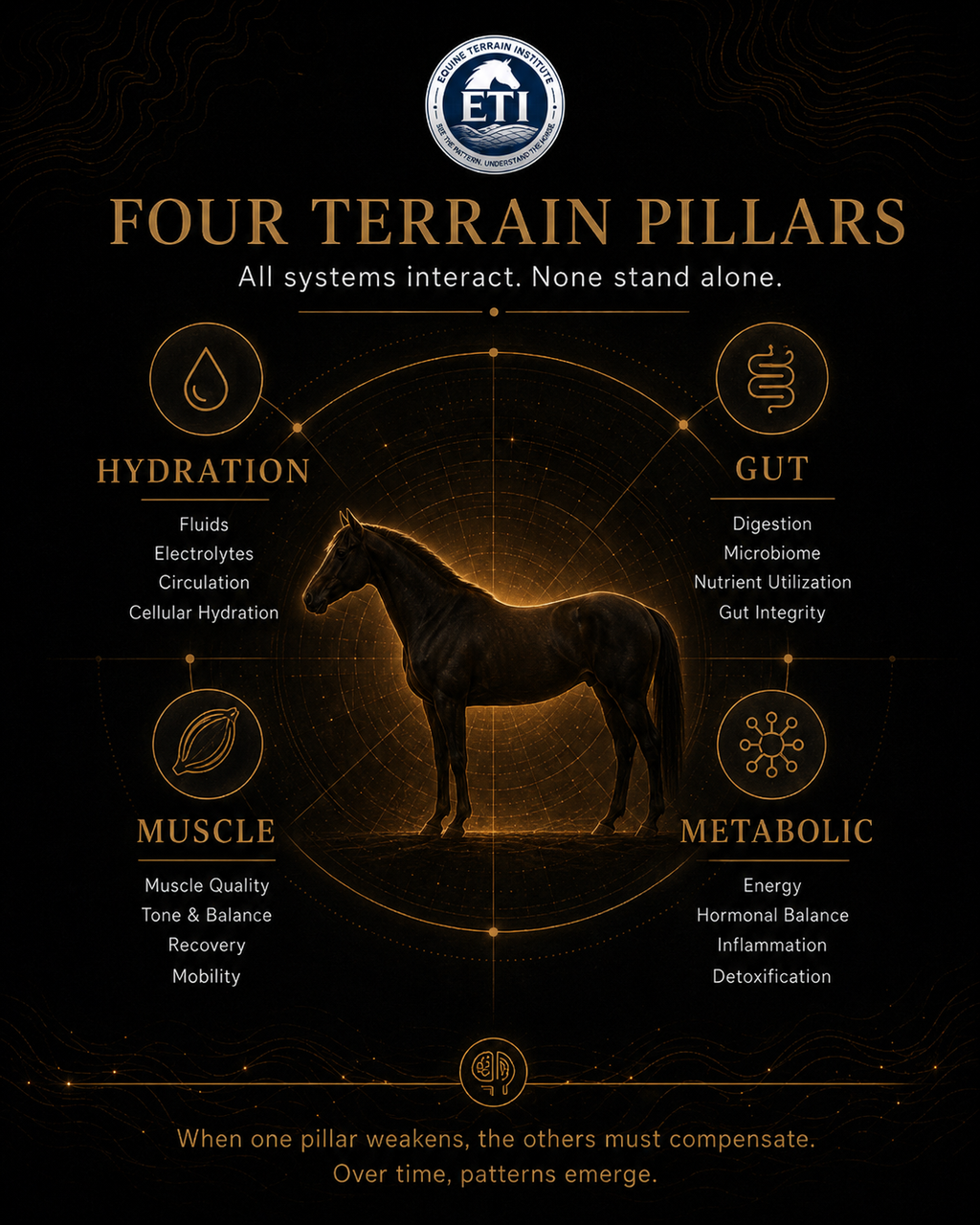 ETI Equine Terrain Assessment