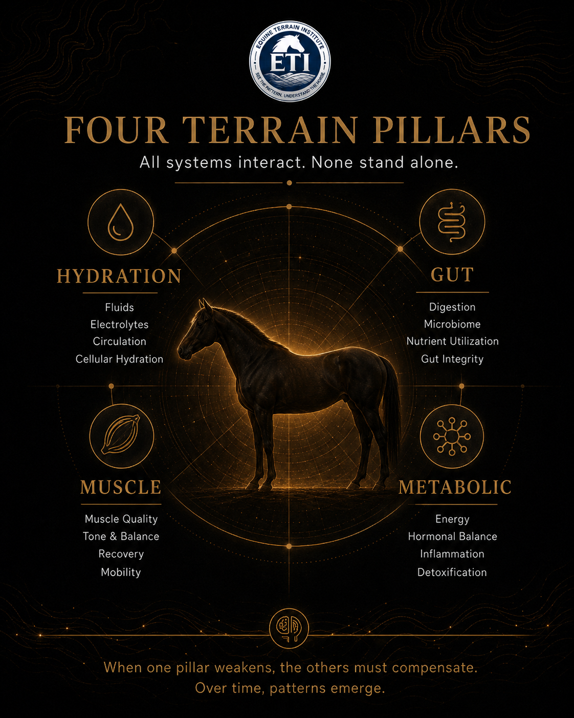 ETI Equine Terrain Assessment