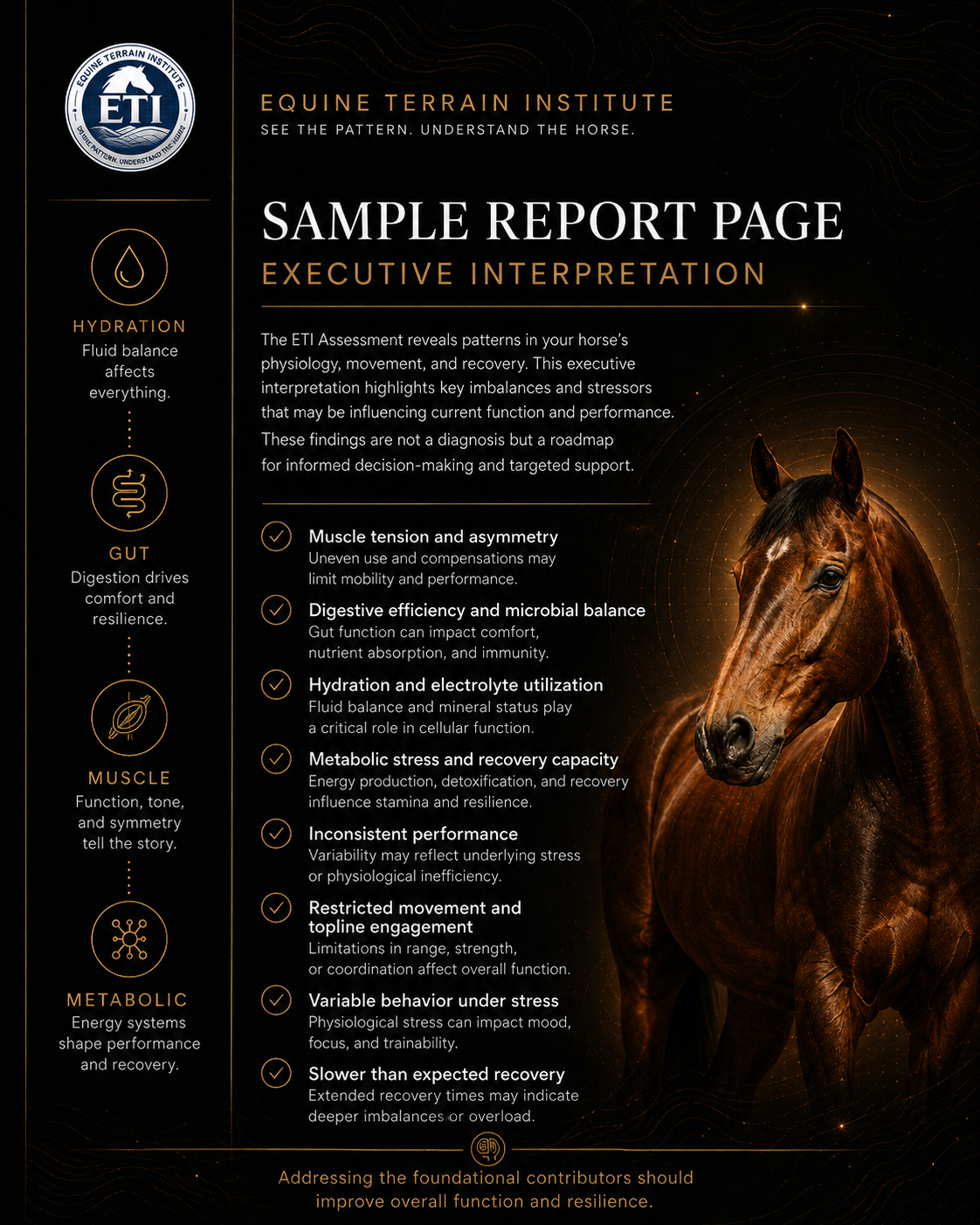 ETI Equine Terrain Assessment