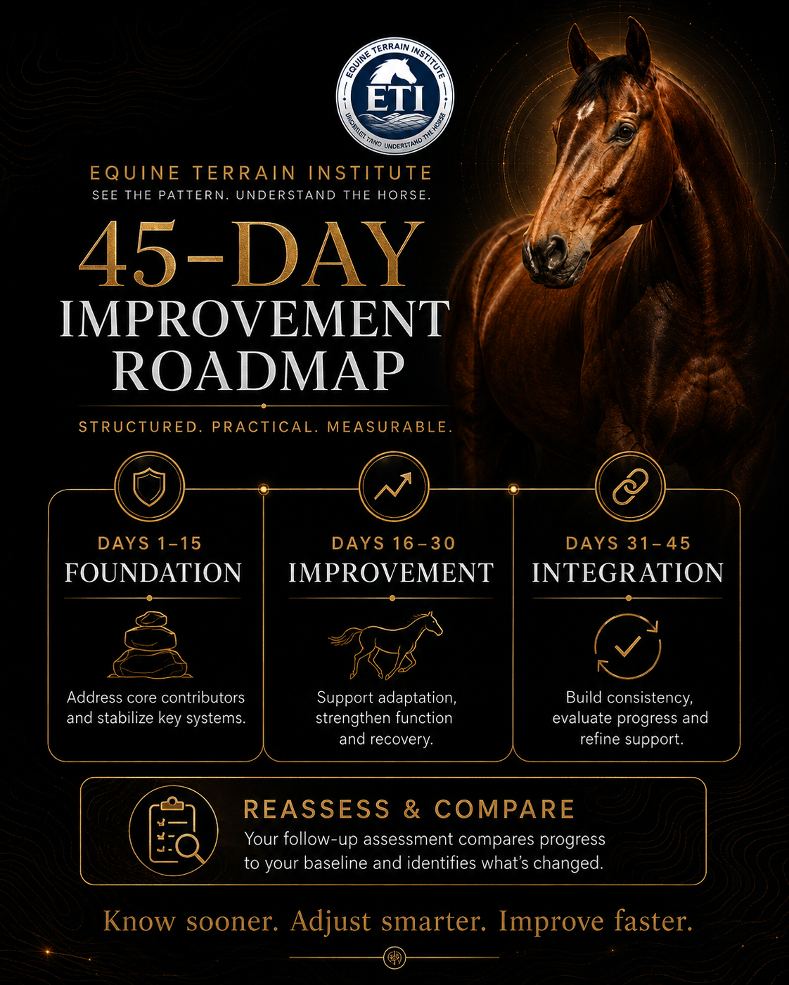 ETI Equine Terrain Assessment