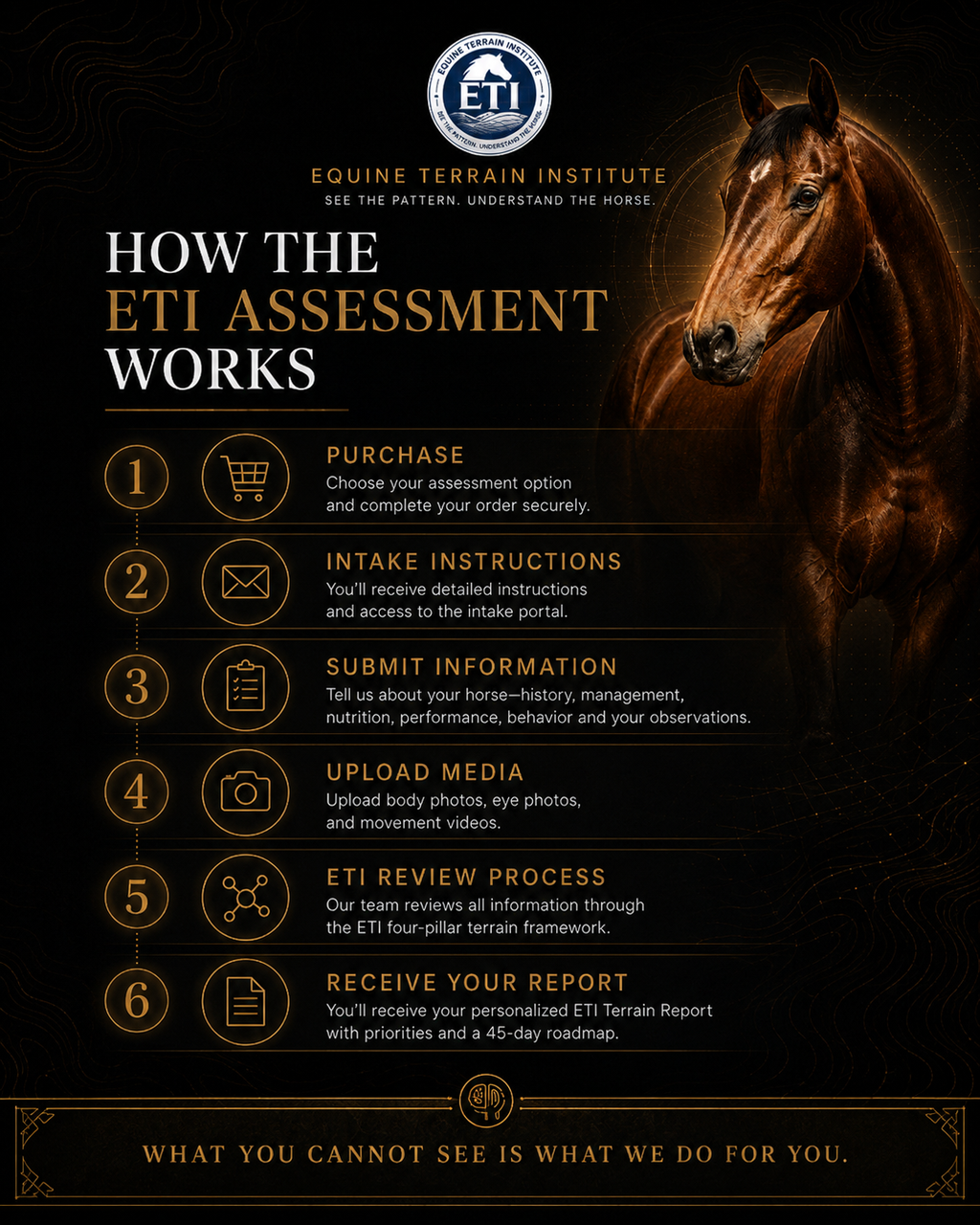 ETI Equine Terrain Assessment