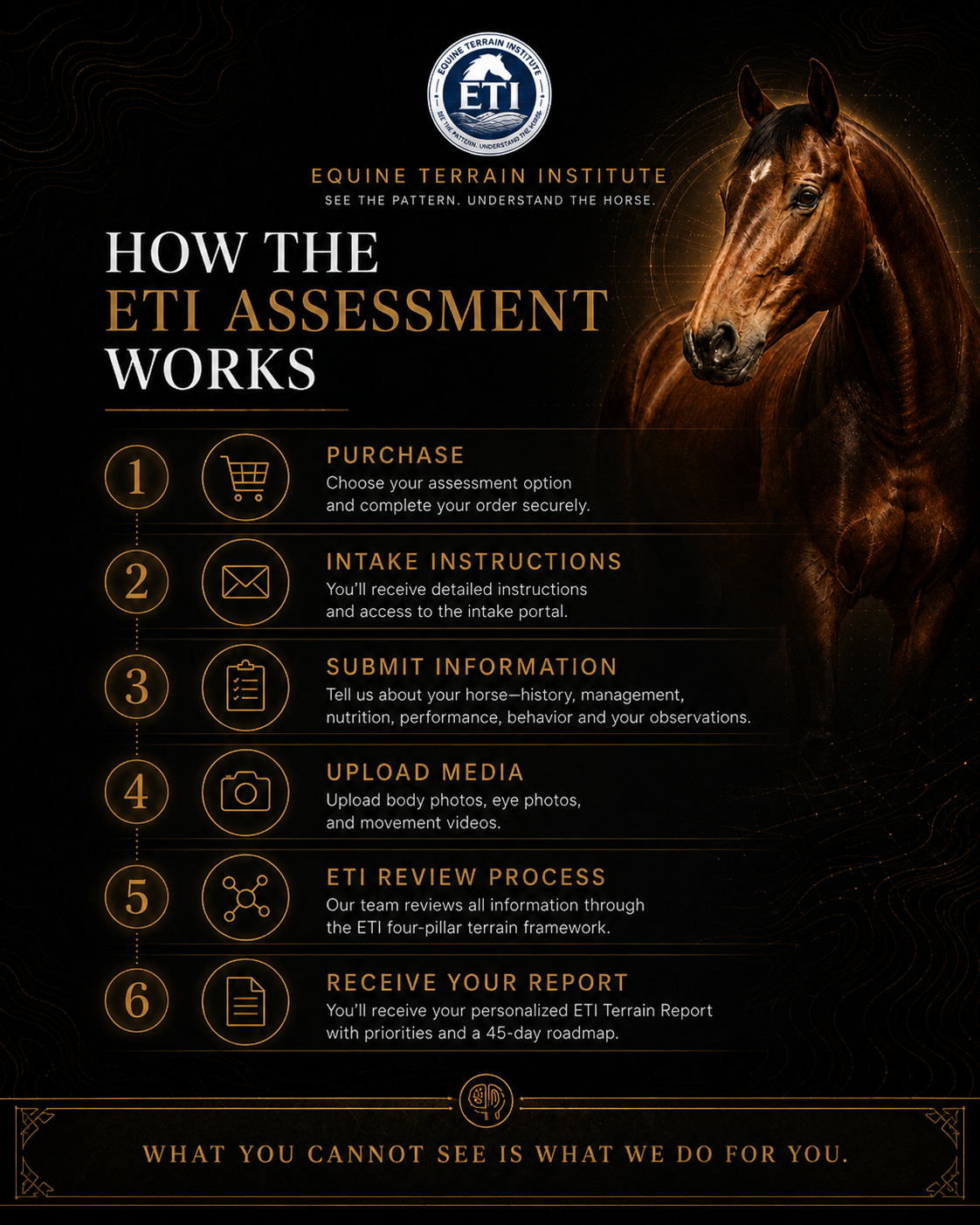 ETI Equine Terrain Assessment